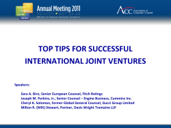 TOP TIPS FOR SUCCESSFUL INTERNATIONAL JOINT VENTURES