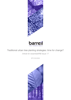 Traditional urban tree planting strategies: time for change?