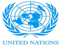 international organisation