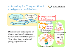 Laboratory for Computational Intelligence and Systems