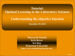Understanding the objective function - Optimal Learning