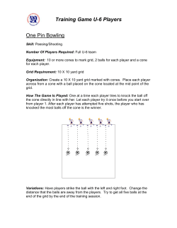 Training Game U-6 Players One Pin Bowling