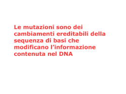 Presentazione di PowerPoint