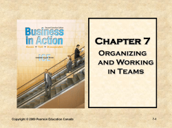 Functional - Pearson Canada