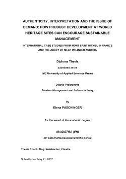 authenticity, interpretation and the issue of demand: how product