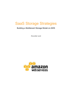 SaaS Storage Strategies