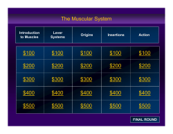 The Muscular System $100 $100 $100 $100 $100 $200 $200 $200