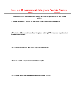 Pre-Lab 11 Assessment: Kingdom Protista Survey