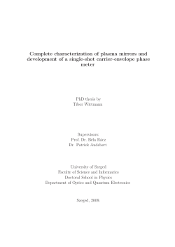 Complete characterization of plasma mirrors and