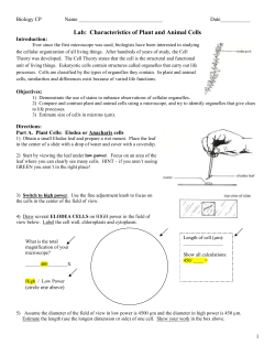 Lab: Characteristics of Plant and Animal Cells