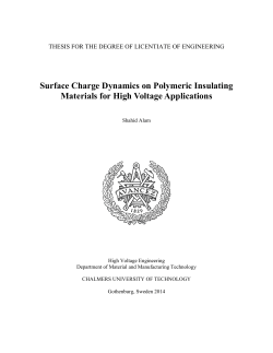 Surface Charge Dynamics on Polymeric Insulating