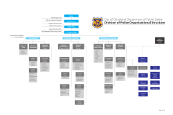 Police Organizational Structure