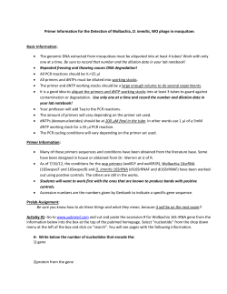 Primer Information for the Detection of Wolbachia, D. immitis, WO