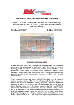 Development and evaluation of Video Image Analysis (VIA)