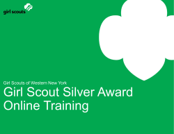 The Silver Award Take Action Project