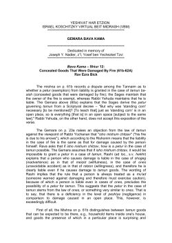 REASONS FOR THE MITZVOT (PART I)