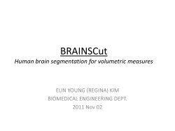 Feature Enhanced Tissue Classified Mean of Grad.
