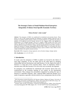 The Strategic Choices of Small Medium