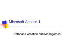 Microsoft Access