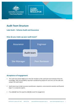 Audit Team Structure