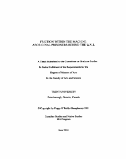 friction \kithin the machine: aboriginal prisoners behind the wall