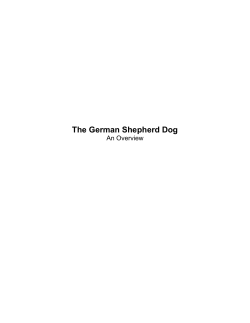The German Shepherd Dog