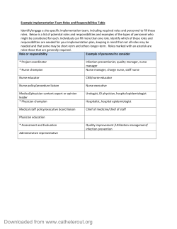 Example Implementation Team Roles and