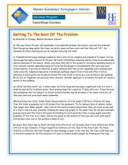 Master Gardener Newspaper Articles Getting To The Root Of The