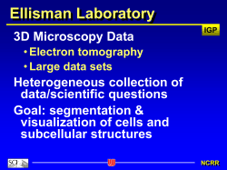 Ellisman Laboratory