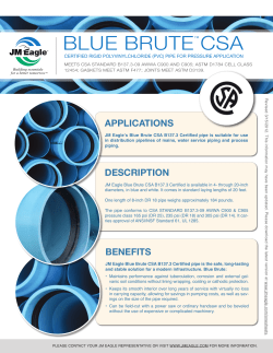 Blue Brute CSA