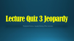 Lecture Quiz 2 Jeopardy