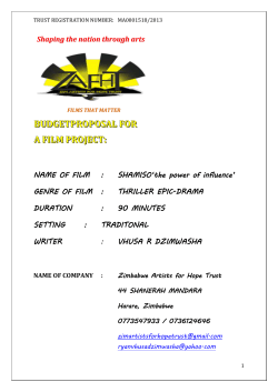 budget_plan_shamiso