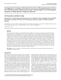 Arrangement of Output Information from the 3 Macroglomerular Units