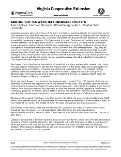 Adding Cut Flowers May Increase Profits