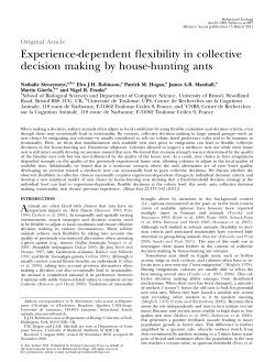 Experience-dependent flexibility in collective decision making by