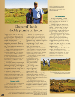 Chaparral&trade; holds double promise on fescue.