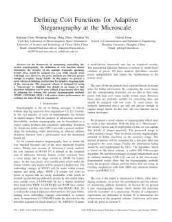 Defining Cost Functions for Adaptive Steganography at the Microscale