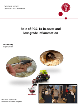 Role of PGC-1&alpha; in acute and low