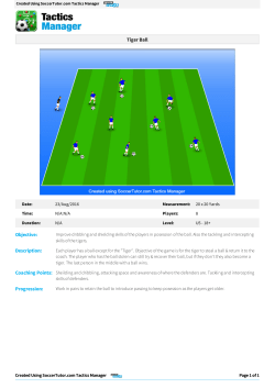 Tiger Ball - South Carolina United FC