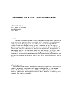 dynamic and computational complexity in economics