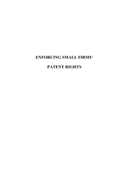 enforcing small firms` patent rights
