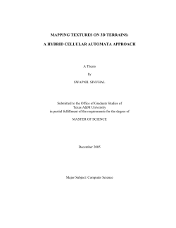 mapping textures on 3d terrains: a hybrid cellular automata approach