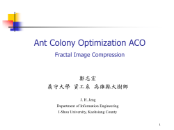 Ant Colony Optimization (ACO)