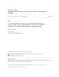 Can Small Firms Find and Defend Strategic Niches?