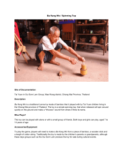 Ba Kang Wo (Spinning Top)