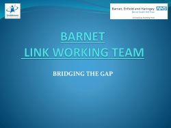 barnet south locality link working team