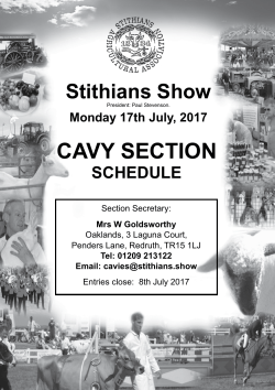 cavy section - Stithians Show
