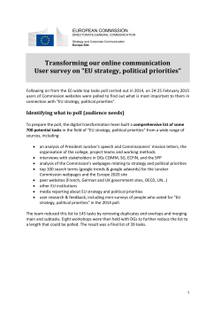 EU strategy, political priorities