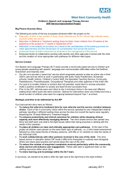 AHP SIP Reporting Template (Text in Italics in each