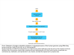 Detection of single nucleotide variations in expressed exons of the
